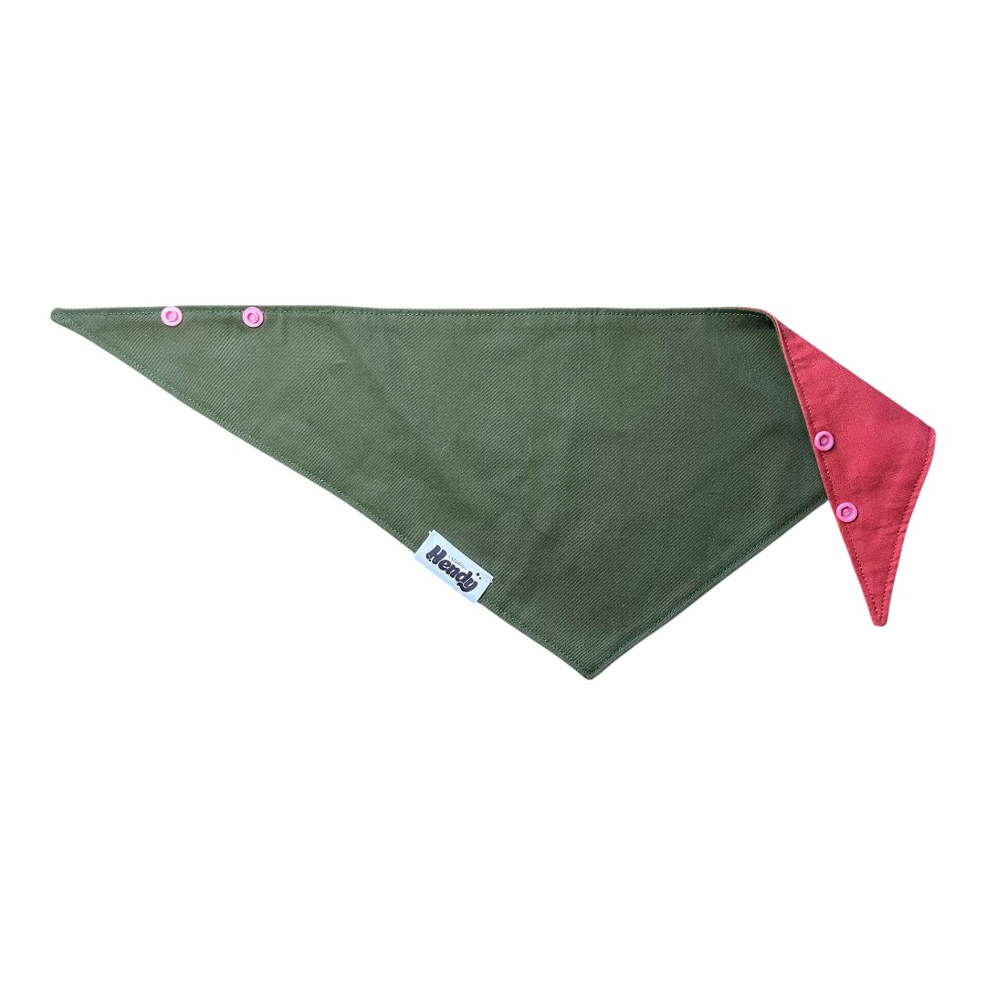 bandana pour chien en tissu vert et rouge