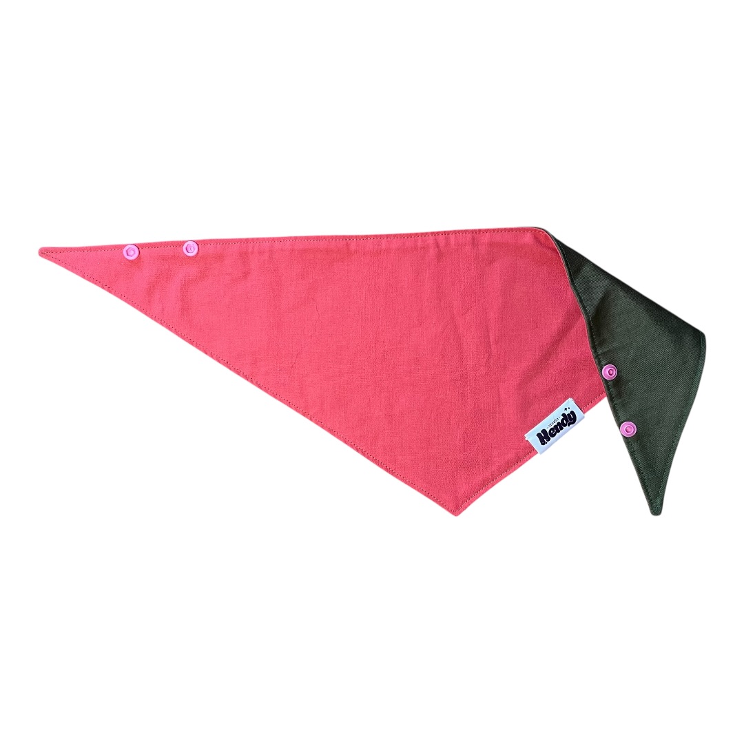 bandana pour chien en tissu rouge et vert