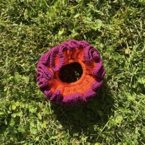 MAXI choux-fleurs orange prune