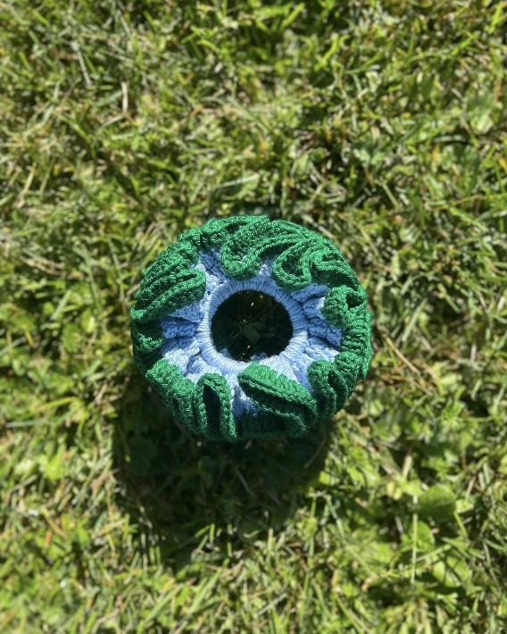 MAXI choux-fleurs vert