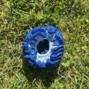 MAXI choux-fleurs blue