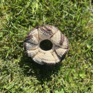 Medium choux-fleurs beige